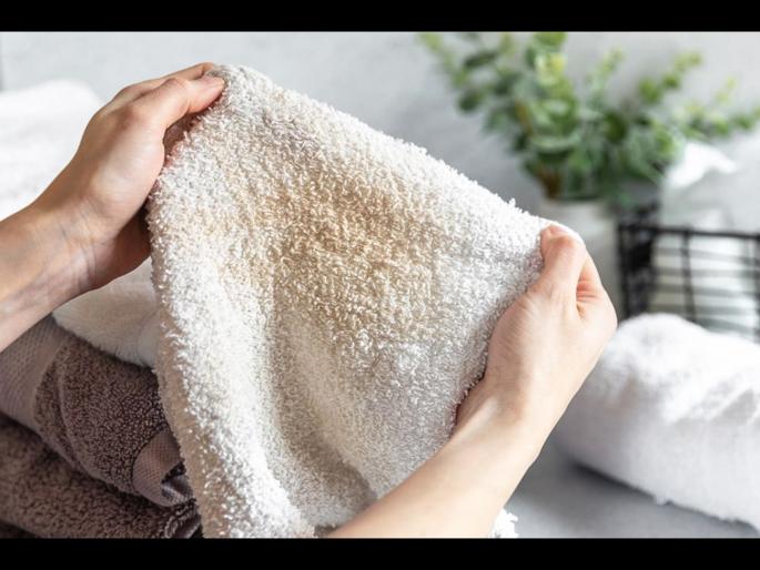 How long can you use a towel without washing it | टॉवेल न धुता किती दिवस वापरू शकता, किती दिवसांनी धुवायला हवा? How long can you use a towel without washing it | टॉवेल न धुता किती दिवस वापरू शकता, किती दिवसांनी धुवायला हवा?