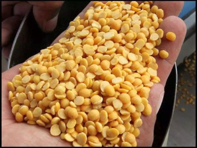 tur dal price increase at march end, gram prices also be rise | मार्च एन्डला तूर उसळली; हरभराही भाव खाणार! tur dal price increase at march end, gram prices also be rise | मार्च एन्डला तूर उसळली; हरभराही भाव खाणार!