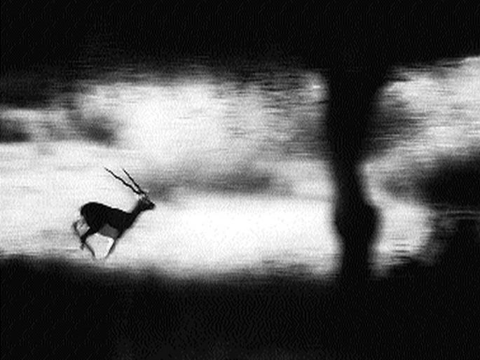 Art Gallery gains a platform for artists | आर्ट गॅलरीमुळे कलावंताना मिळाले हक्काचे व्यासपीठ Art Gallery gains a platform for artists | आर्ट गॅलरीमुळे कलावंताना मिळाले हक्काचे व्यासपीठ