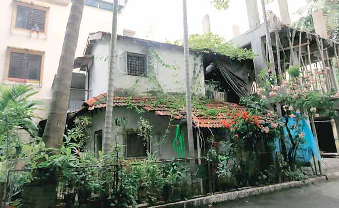 Aanewari below 50 paise does not include any village | ५० पैसेखालील आणेवारीत एकाही गावाचा समावेश नाही Aanewari below 50 paise does not include any village | ५० पैसेखालील आणेवारीत एकाही गावाचा समावेश नाही