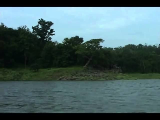 Sarangpuri reservoir in Wardha district is far from the stream of development | वर्धा जिल्ह्यतील ब्रिटिशकालीन सारंगपुरी जलाशय विकासाच्या प्रवाहातून लांबच Sarangpuri reservoir in Wardha district is far from the stream of development | वर्धा जिल्ह्यतील ब्रिटिशकालीन सारंगपुरी जलाशय विकासाच्या प्रवाहातून लांबच