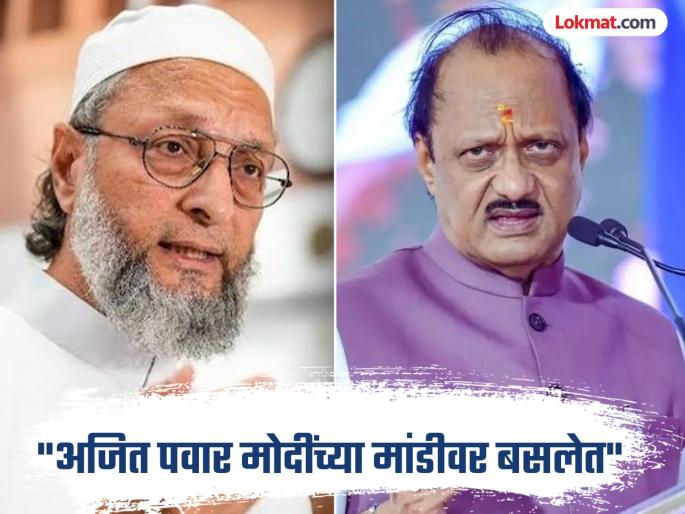 "One day a woman wearing a hijab will become the Prime Minister, but I may not be alive", Owaisi attacks Ajit Pawar in Solapur | "एक दिवस हिजाब घालणारी महिला पंतप्रधान बनेल, पण कदाचित मी जिवंत नसेन", सोलापुरात ओवैसींचा अजित पवारांवर हल्ला "One day a woman wearing a hijab will become the Prime Minister, but I may not be alive", Owaisi attacks Ajit Pawar in Solapur | "एक दिवस हिजाब घालणारी महिला पंतप्रधान बनेल, पण कदाचित मी जिवंत नसेन", सोलापुरात ओवैसींचा अजित पवारांवर हल्ला