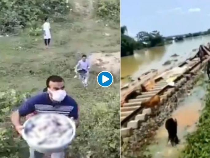 Watch Video : Biharis Offer Food to Mizos After Video of Mizos Aiding Assamese svg | Video: ...म्हणून भारत देश आहे महान; इथे संकटकाळात एकमेकांच्या मदतीला धावतात लोक! Watch Video : Biharis Offer Food to Mizos After Video of Mizos Aiding Assamese svg | Video: ...म्हणून भारत देश आहे महान; इथे संकटकाळात एकमेकांच्या मदतीला धावतात लोक!