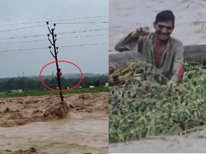 Video: drowning men saved by a tree branch and electric pole in Asan river | Video: बुडत्याला काडीचा आधार! कुणी खांबावर चढून, तर कुणी झाडाच्या फांदीला लटकून वाचवला जीव... Video: drowning men saved by a tree branch and electric pole in Asan river | Video: बुडत्याला काडीचा आधार! कुणी खांबावर चढून, तर कुणी झाडाच्या फांदीला लटकून वाचवला जीव...