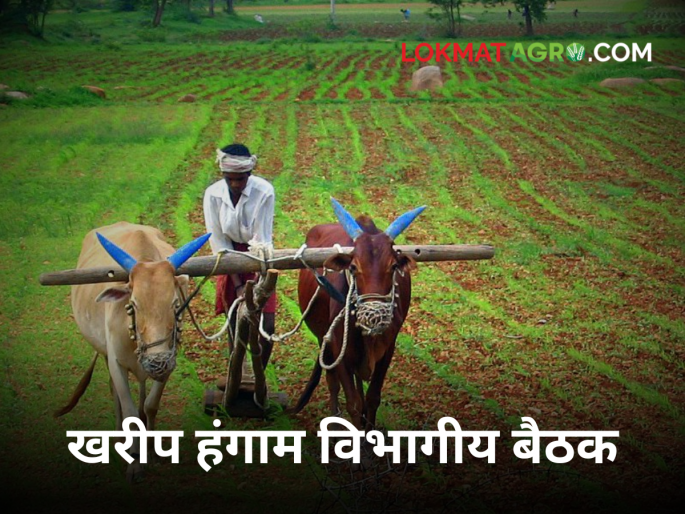 Organizing the Kharif meeting of the Divisional Agricultural Research and Extension Advisory Committee | विभागीय कृषि संशोधन व विस्तार सल्लागार समितीच्या खरीप बैठकीचे पुण्यात आयोजन Organizing the Kharif meeting of the Divisional Agricultural Research and Extension Advisory Committee | विभागीय कृषि संशोधन व विस्तार सल्लागार समितीच्या खरीप बैठकीचे पुण्यात आयोजन