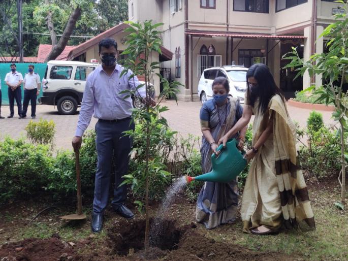 Now there will be tree planting in the open field, not on the road; Mayor's information | आता रस्त्यावर नव्हे टेकडी, मोकळ्या मैदानात होणार वृक्षारोपण; महापौरांची माहिती Now there will be tree planting in the open field, not on the road; Mayor's information | आता रस्त्यावर नव्हे टेकडी, मोकळ्या मैदानात होणार वृक्षारोपण; महापौरांची माहिती