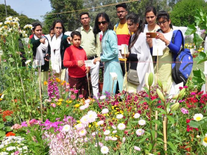 Corona’s disruption in the silver jubilee year of the park exhibition; The annual enticing exhibition is canceled this year | उद्यान प्रदर्शनाच्या रौप्य महोत्सवी वर्षात कोरोनाचे विघ्न; दरवर्षी भुरळ घालणारे प्रदर्शन यंदा रद्द Corona’s disruption in the silver jubilee year of the park exhibition; The annual enticing exhibition is canceled this year | उद्यान प्रदर्शनाच्या रौप्य महोत्सवी वर्षात कोरोनाचे विघ्न; दरवर्षी भुरळ घालणारे प्रदर्शन यंदा रद्द