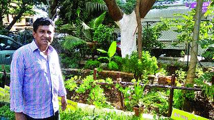 Falwell garden by manipulating the waste | कचऱ्यापासून खतनिर्मिती करून फुलविली बाग Falwell garden by manipulating the waste | कचऱ्यापासून खतनिर्मिती करून फुलविली बाग