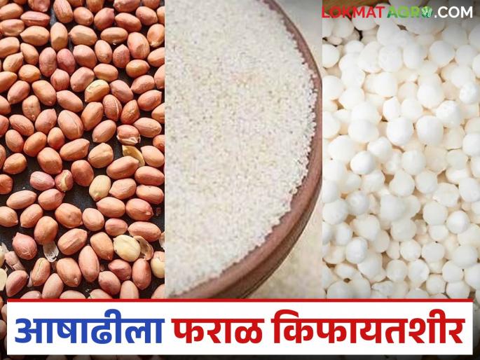 latest news Market Update: Farmers' hard work and relief in the market; Read more special Faral on Ashadhi in detail | Market Update : शेतकऱ्यांची मेहनत आणि बाजारातील दिलासा; आषाढीला फराळ अधिक खास वाचा सविस्तर latest news Market Update: Farmers' hard work and relief in the market; Read more special Faral on Ashadhi in detail | Market Update : शेतकऱ्यांची मेहनत आणि बाजारातील दिलासा; आषाढीला फराळ अधिक खास वाचा सविस्तर
