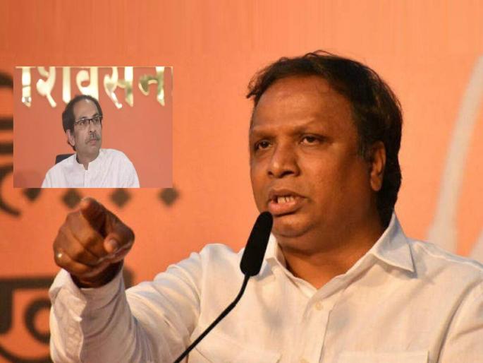 Ashish Shelar claims that the BJP will install a mayor in Mumbai to crack down on Uddhav Thackeray's corrupt Shiv Sena. | "उद्धव ठाकरेंच्या भ्रष्ट शिवसेनेला तडीपार करणार, मुंबईत भाजपाचा महापौर बसवणार’’, आशिष शेलारांचा दावा Ashish Shelar claims that the BJP will install a mayor in Mumbai to crack down on Uddhav Thackeray's corrupt Shiv Sena. | "उद्धव ठाकरेंच्या भ्रष्ट शिवसेनेला तडीपार करणार, मुंबईत भाजपाचा महापौर बसवणार’’, आशिष शेलारांचा दावा