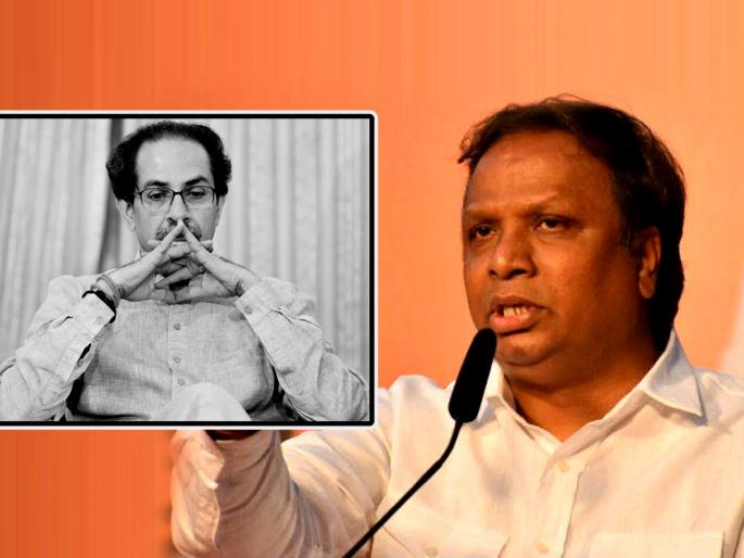 BJP MLA Ashish Shelar slams Uddhav Thackeray Sharad Pawar led Mahavikas Aghadi about Hindu Festivals | "भाजपा हा हिंदू सण सुरु ठेवणारा पक्ष, उद्धव ठाकरेंच्या शिवसेनेप्रमाणे सण बंद पाडणारा नाही"; आशिष शेलारांचा टोला BJP MLA Ashish Shelar slams Uddhav Thackeray Sharad Pawar led Mahavikas Aghadi about Hindu Festivals | "भाजपा हा हिंदू सण सुरु ठेवणारा पक्ष, उद्धव ठाकरेंच्या शिवसेनेप्रमाणे सण बंद पाडणारा नाही"; आशिष शेलारांचा टोला