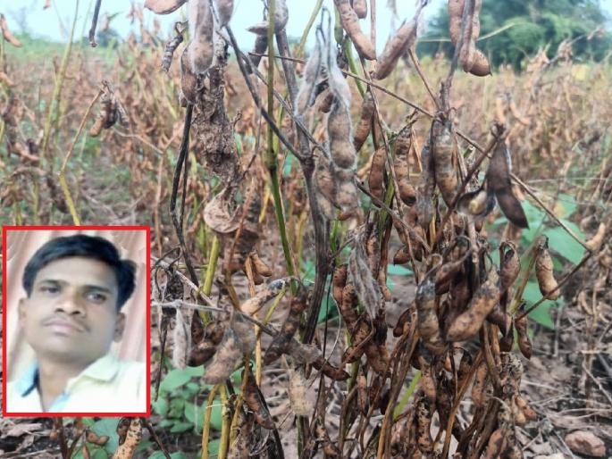 Crops were lost due to heavy rains; Two farmers commit suicide in Yavatmal district | अतिवृष्टीमुळे पीक गेले; यवतमाळ जिल्ह्यात दोन शेतकऱ्यांची आत्महत्या Crops were lost due to heavy rains; Two farmers commit suicide in Yavatmal district | अतिवृष्टीमुळे पीक गेले; यवतमाळ जिल्ह्यात दोन शेतकऱ्यांची आत्महत्या