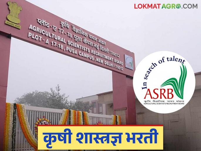 Latest News ASRB Recruitment 2025 Recruitment for 582 posts through Agricultural Scientist Recruitment Board | ASRB Recruitment 2025 : कृषी शास्त्रज्ञ भरती मंडळामार्फत 582 जागांसाठी भरती, असा करा अर्ज  Latest News ASRB Recruitment 2025 Recruitment for 582 posts through Agricultural Scientist Recruitment Board | ASRB Recruitment 2025 : कृषी शास्त्रज्ञ भरती मंडळामार्फत 582 जागांसाठी भरती, असा करा अर्ज