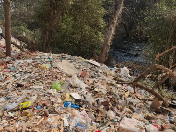 The forest department of 1,036 hectares of government land in Mira Bhayander is finally in the possession of the forest department | मीरा-भाईंदरमधील १ हजार ३६ हेक्टर सरकारी जागेतील कांदळवन अखेर वन विभागाच्या ताब्यात The forest department of 1,036 hectares of government land in Mira Bhayander is finally in the possession of the forest department | मीरा-भाईंदरमधील १ हजार ३६ हेक्टर सरकारी जागेतील कांदळवन अखेर वन विभागाच्या ताब्यात