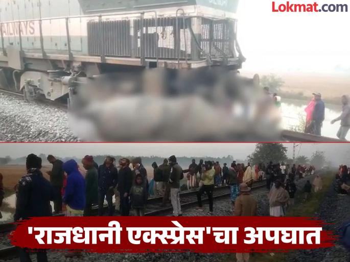 Terrible accident of Rajdhani Express, many elephants died in the collision, coaches including the train engine derailed | राजधानी एक्स्प्रेसचा भयंकर अपघात, धडकेत अनेक हत्तींचा मृत्यू, रेल्वे इंजिनसह डब्बे घसरले Terrible accident of Rajdhani Express, many elephants died in the collision, coaches including the train engine derailed | राजधानी एक्स्प्रेसचा भयंकर अपघात, धडकेत अनेक हत्तींचा मृत्यू, रेल्वे इंजिनसह डब्बे घसरले