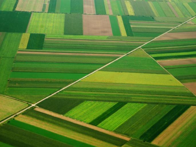 Assessment of land consolidation to avoid dispute! | वाद टाळण्यासाठी जमीन एकत्रीकरणाची चाचपणी! Assessment of land consolidation to avoid dispute! | वाद टाळण्यासाठी जमीन एकत्रीकरणाची चाचपणी!