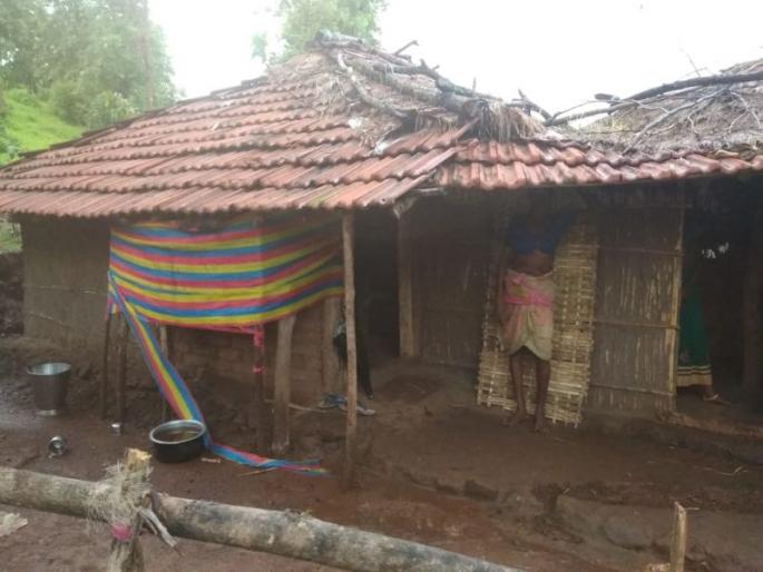 A lightning strike kills a cow while a woman sustains minor injuries; As there is no road, 4 km journey through Jholi | वीज पडून गाय ठार तर महिला किरकोळ जखमी; रस्ता नसल्यामुळे 4 किलोमीटरचा प्रवास झोळीतून  A lightning strike kills a cow while a woman sustains minor injuries; As there is no road, 4 km journey through Jholi | वीज पडून गाय ठार तर महिला किरकोळ जखमी; रस्ता नसल्यामुळे 4 किलोमीटरचा प्रवास झोळीतून