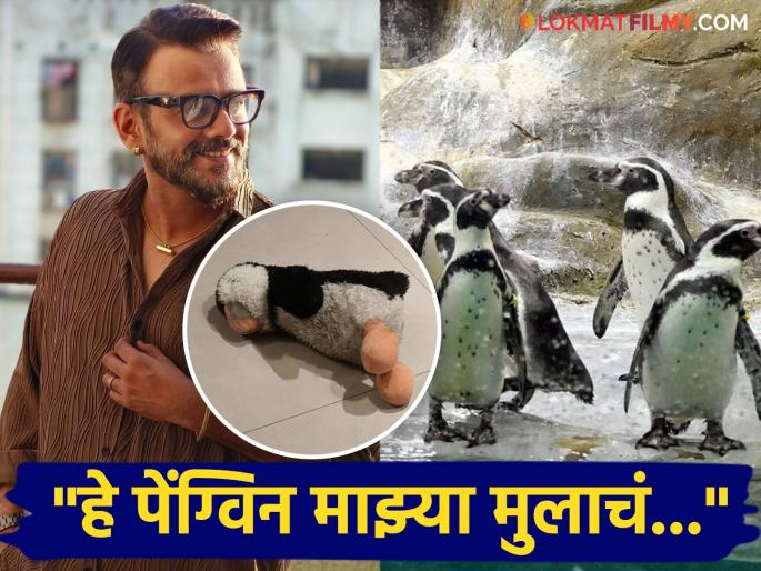 marathi actor astad kale shared criptic post on ranichi baug penguin marathi name row | "या पेंग्विनचं नाव काय ठेवायचं, हे राजकारण्यांनी सांगावं", पोस्टमधून मराठी अभिनेत्याचा सणसणीत टोला marathi actor astad kale shared criptic post on ranichi baug penguin marathi name row | "या पेंग्विनचं नाव काय ठेवायचं, हे राजकारण्यांनी सांगावं", पोस्टमधून मराठी अभिनेत्याचा सणसणीत टोला