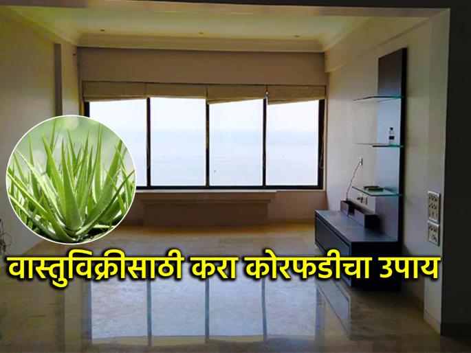 Astro Tips: Have you tried all the solutions to sell your house or plot? Still disappointed? Try 'this' effective solution! | Astro Tips: घर, प्लॉट विक्रीसाठी सगळे उपाय करून पाहिले? तरी निराशा? करा 'हा' प्रभावी तोडगा! Astro Tips: Have you tried all the solutions to sell your house or plot? Still disappointed? Try 'this' effective solution! | Astro Tips: घर, प्लॉट विक्रीसाठी सगळे उपाय करून पाहिले? तरी निराशा? करा 'हा' प्रभावी तोडगा!