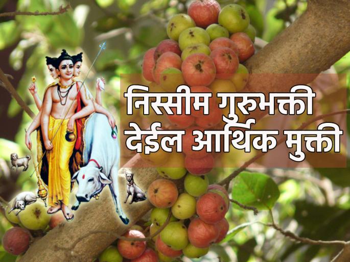 Astro Tips: Need relief from financial hardship? So do Gurubhakti according to astrology! | Astro Tips: आर्थिक विवंचनेतून हवी मुक्ती? तर ज्योतिष शास्त्राने सांगितल्यानुसार करा गुरुभक्ती! Astro Tips: Need relief from financial hardship? So do Gurubhakti according to astrology! | Astro Tips: आर्थिक विवंचनेतून हवी मुक्ती? तर ज्योतिष शास्त्राने सांगितल्यानुसार करा गुरुभक्ती!