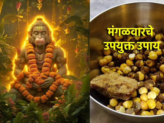 Astro: Do simple remedies to bring happiness and prosperity to your home by solving Kundali Dosha on Tuesday! | Astro: कुंडलीदोषाचे निवारण करून घरात सुख समृद्धी आणणारे सोपे उपाय मंगळवारी अवश्य करा! Astro: Do simple remedies to bring happiness and prosperity to your home by solving Kundali Dosha on Tuesday! | Astro: कुंडलीदोषाचे निवारण करून घरात सुख समृद्धी आणणारे सोपे उपाय मंगळवारी अवश्य करा!