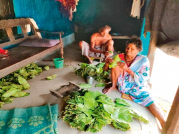 The story of the death of tendupatta workers | तेंदूपत्ता मजुरांच्या पाठी लागलेल्या मृत्यूची गोष्ट