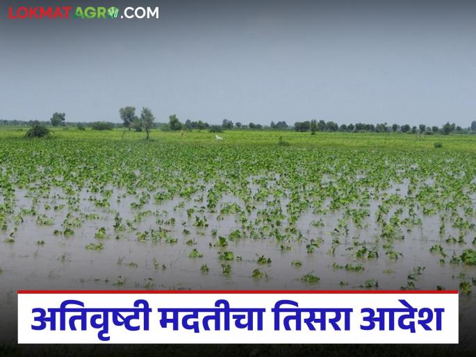 95 crores to 'this' district in third order for heavy rain relief; When will the money arrive in farmers accounts? | अतिवृष्टी मदतीच्या तिसऱ्या आदेशात 'या' जिल्ह्याला ९५ कोटी; शेतकऱ्यांच्या खात्यावर कधी येणार पैसे? 95 crores to 'this' district in third order for heavy rain relief; When will the money arrive in farmers accounts? | अतिवृष्टी मदतीच्या तिसऱ्या आदेशात 'या' जिल्ह्याला ९५ कोटी; शेतकऱ्यांच्या खात्यावर कधी येणार पैसे?