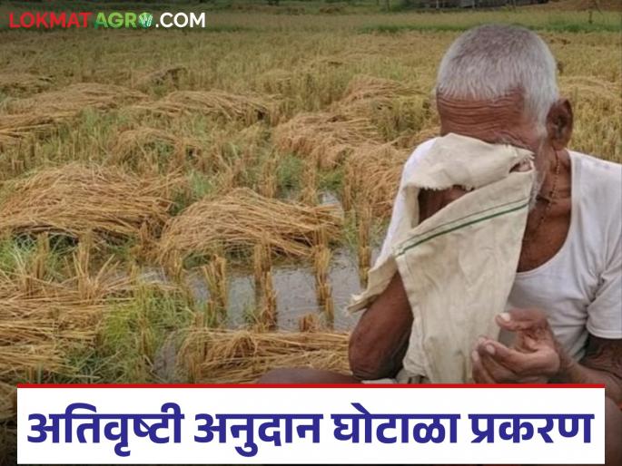 latest news Anudan Ghotala: Major action taken in heavy rainfall subsidy scam case; Suspension of 'these' officials | Anudan Ghotala : अतिवृष्टी अनुदान घोटाळा प्रकरणात मोठी कारवाई; 'या' अधिकाऱ्यांचे निलंबन