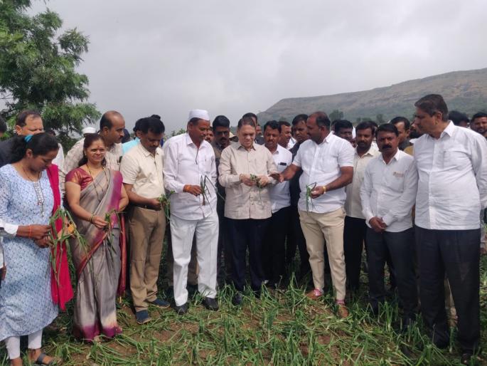 We will present a proposal in the cabinet to give compensation to the farmers - Dilip Valse Patil | शेतकऱ्यांना नुकसान भरपाई देण्यासाठी मंत्रिमंडळात प्रस्ताव मांडू - दिलीप वळसे पाटील We will present a proposal in the cabinet to give compensation to the farmers - Dilip Valse Patil | शेतकऱ्यांना नुकसान भरपाई देण्यासाठी मंत्रिमंडळात प्रस्ताव मांडू - दिलीप वळसे पाटील