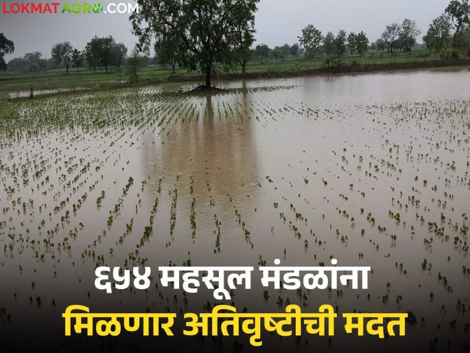 These districts of the state will soon receive assistance for the damage caused by heavy rains in August and September | राज्यातील 'या' जिल्ह्यांना मिळणार ऑगस्ट, सप्टेंबरमध्ये अतिवृष्टीमुळे झालेल्या नुकसानीची मदत These districts of the state will soon receive assistance for the damage caused by heavy rains in August and September | राज्यातील 'या' जिल्ह्यांना मिळणार ऑगस्ट, सप्टेंबरमध्ये अतिवृष्टीमुळे झालेल्या नुकसानीची मदत