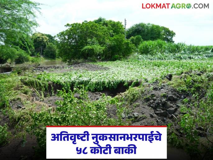 A proposal of Rs 58 crores has been sent for the erased soil land; When will it get government approval? | खरडून गेलेल्या जमिनींचा ५८ कोटींचा प्रस्ताव पाठवला; शासनाची मंजुरी कधी मिळणार? A proposal of Rs 58 crores has been sent for the erased soil land; When will it get government approval? | खरडून गेलेल्या जमिनींचा ५८ कोटींचा प्रस्ताव पाठवला; शासनाची मंजुरी कधी मिळणार?