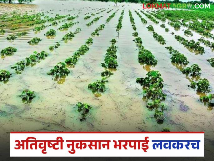 Government decision to provide assistance to farmers for compensation for losses caused by heavy rains and floods | अतिवृष्टी पूरपरिस्थितीमुळे झालेल्या नुकसान भरपाईसाठी शेतकऱ्यांना मदत; शासन निर्णय आला