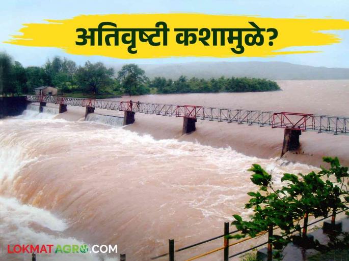 Why heavy rainfall in some areas and still drought in some places? | काही भागांत अतिवृष्टी तर काही ठिकाणी अजूनही दुष्काळ कशामुळे? Why heavy rainfall in some areas and still drought in some places? | काही भागांत अतिवृष्टी तर काही ठिकाणी अजूनही दुष्काळ कशामुळे?
