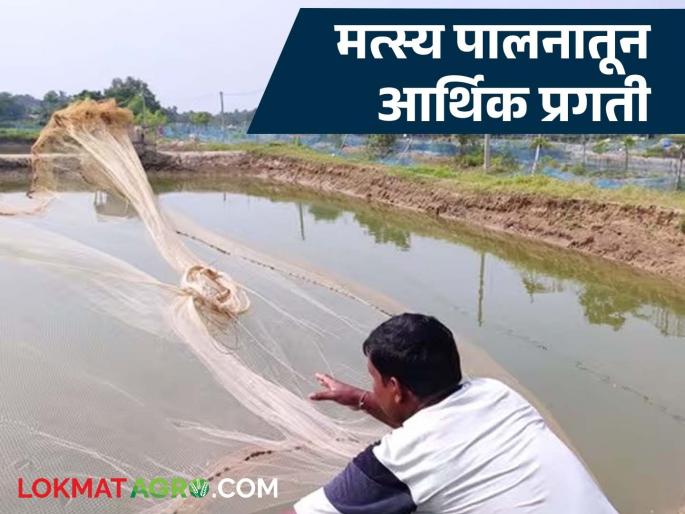 Latest News Fish farming with to vegetable and flower farming, increasing production and income. | भाजीपाला, फुलशेतीला मत्स्यपालनाची जोड, उत्पादन अन् उत्पन्नातही झाली वाढ Latest News Fish farming with to vegetable and flower farming, increasing production and income. | भाजीपाला, फुलशेतीला मत्स्यपालनाची जोड, उत्पादन अन् उत्पन्नातही झाली वाढ
