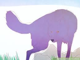 Attack of unknown wild animals; 7 dead, four injured | अज्ञात वन्यप्राण्यांचा मेंढ्यांच्या कळपावर हल्ला; ७ जनावरे मृत, ४ जखमी, Attack of unknown wild animals; 7 dead, four injured | अज्ञात वन्यप्राण्यांचा मेंढ्यांच्या कळपावर हल्ला; ७ जनावरे मृत, ४ जखमी,