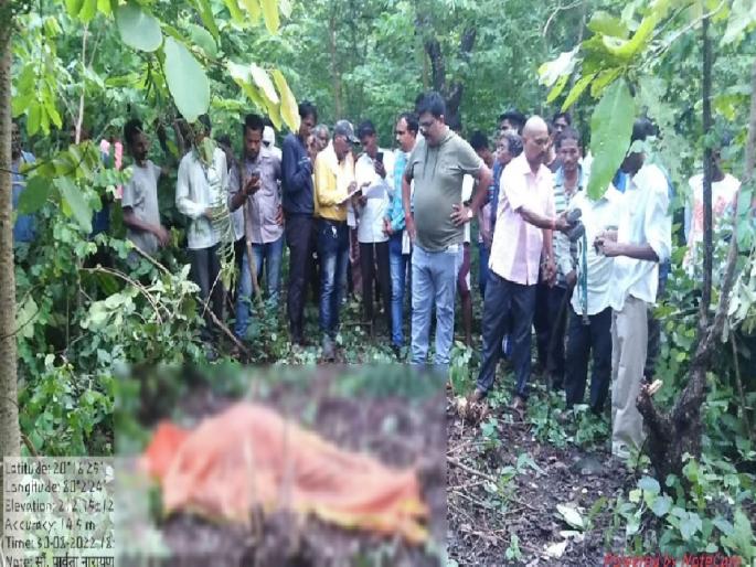 A woman returning home with cattle was killed by a tiger in front of her husband | गुरे घेऊन घरी परतणाऱ्या महिलेचा पतीसमोर वाघाने घेतला बळी