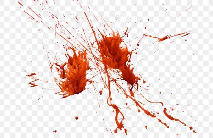 Attempts to murder of a mother in Nagpur: Wounds done by sharp objects | नागपुरात जन्मदात्रीच्या खुनाचा प्रयत्न : टोकदार वस्तूने केले घाव Attempts to murder of a mother in Nagpur: Wounds done by sharp objects | नागपुरात जन्मदात्रीच्या खुनाचा प्रयत्न : टोकदार वस्तूने केले घाव