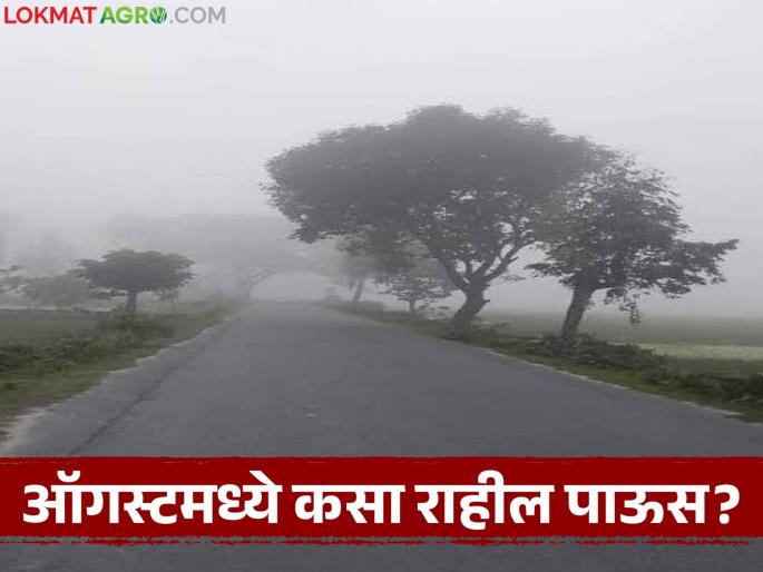 What will be the rainfall forecast for the month of August? Which week will see the most rainfall? | ऑगस्ट महिन्यात कसा राहील पावसाचा अंदाज? कोणत्या आठवड्यात जास्त पाऊस? What will be the rainfall forecast for the month of August? Which week will see the most rainfall? | ऑगस्ट महिन्यात कसा राहील पावसाचा अंदाज? कोणत्या आठवड्यात जास्त पाऊस?
