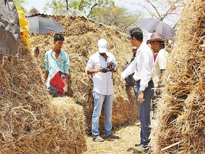 Medicine | औषध Medicine | औषध