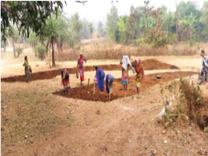 In Talasari taluka Magel will provide him employment guarantee work; 122 works started, 647 workers employed | तलासरी तालुक्यात मागेल त्याला रोजगार हमीचे काम; १२२ कामे सुरू, ६४७ मजुरांना राेजगार In Talasari taluka Magel will provide him employment guarantee work; 122 works started, 647 workers employed | तलासरी तालुक्यात मागेल त्याला रोजगार हमीचे काम; १२२ कामे सुरू, ६४७ मजुरांना राेजगार