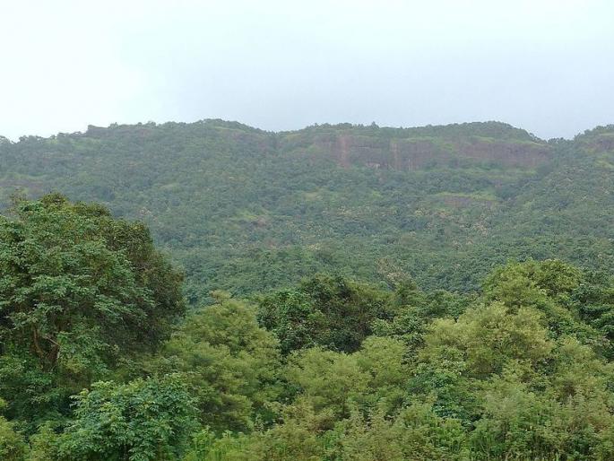 Trekkers were caught on the undoed fort near Nagothan, Dadar and Dadar | नागोठण्याजवळच्या अवचित गडावर अडकले होते ट्रेकर्स, दारु पिऊन ट्रेकर्सवर दादागिरी