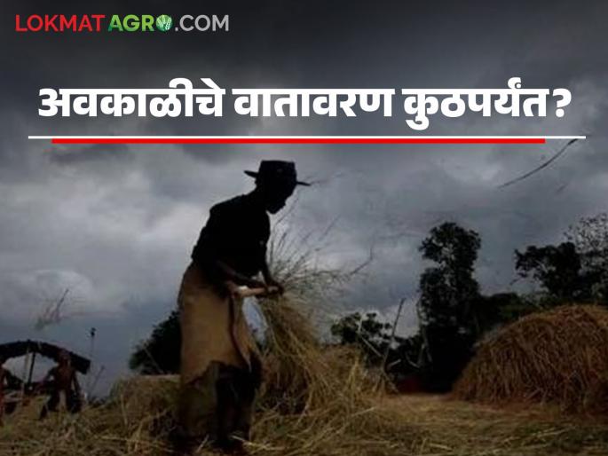Latest News Avkali Paus Rain How long will the unseasonal weather continue in Maharashtra Read in detail | Maharashtra Weather Update : महाराष्ट्रात अवकाळी पावसाचे वातावरण किती दिवस राहील? वाचा सविस्तर 