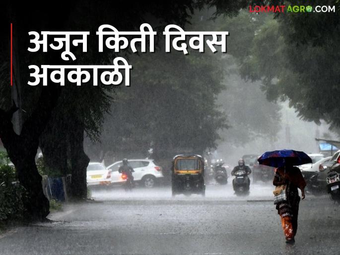 Rain with heavy wind likely for next five days; Where will it unseasonal rain? | पुढील पाच दिवस वादळी पावसाची शक्यता; कुठे बरसणार अवकाळी? Rain with heavy wind likely for next five days; Where will it unseasonal rain? | पुढील पाच दिवस वादळी पावसाची शक्यता; कुठे बरसणार अवकाळी?