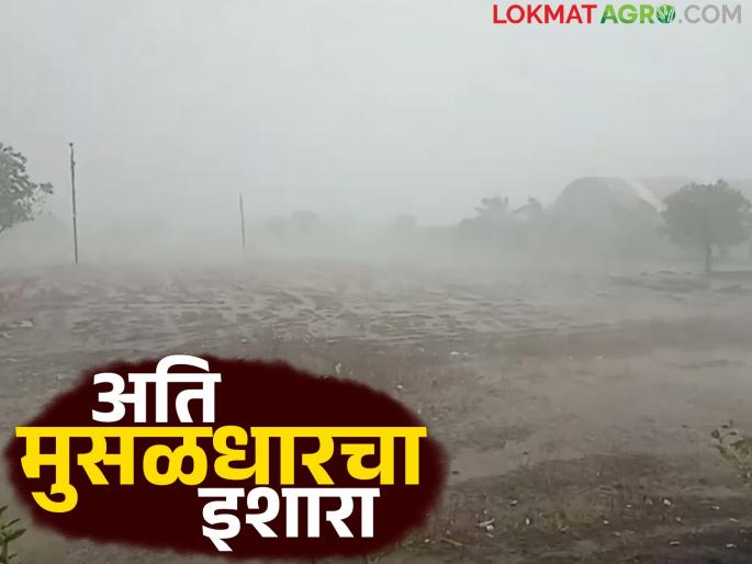 Heavy to very heavy rains forecast for 10 days in state; this districts will be most affected? | राज्यात १० दिवस मुसळधार ते अतिमुसळधार पावसाचा अंदाज; या जिल्ह्यांत अधिक प्रभाव?