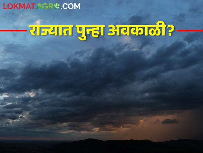 Is it coming avkali rain again? Chance of moderate rain with thundershowers | पुन्हा अवकाळी येतोय? ढगांच्या गडगडाटीसह मध्यम पावसाची शक्यता Is it coming avkali rain again? Chance of moderate rain with thundershowers | पुन्हा अवकाळी येतोय? ढगांच्या गडगडाटीसह मध्यम पावसाची शक्यता