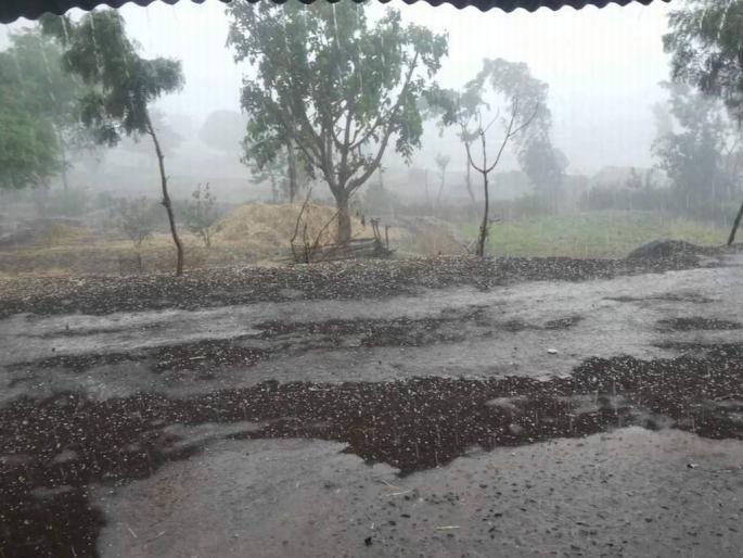 Unseasonal clouds over Vidarbha; Possible storm surge | विदर्भावर अवकाळीचे ढग; वादळाचा संभाव्य तडाखा