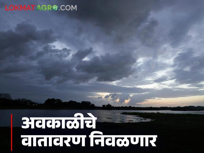 Latest news Weather Update Will the unseasonal rains in Maharashtra end Read in detail | Maharashtra Weather Update : महाराष्ट्रातील अवकाळी पावसाचे वातावरण निवळणार का? वाचा सविस्तर  Latest news Weather Update Will the unseasonal rains in Maharashtra end Read in detail | Maharashtra Weather Update : महाराष्ट्रातील अवकाळी पावसाचे वातावरण निवळणार का? वाचा सविस्तर