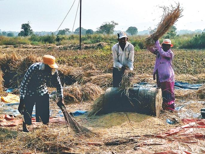 Famine hit 1,949 farmers in Penn | पेणमधील ९,४९६ शेतकऱ्यांना अवकाळीचा फटका Famine hit 1,949 farmers in Penn | पेणमधील ९,४९६ शेतकऱ्यांना अवकाळीचा फटका