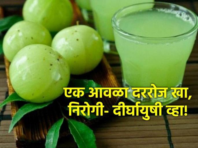 benefits of eating amla every day know the right way to eat | रोज एक आवळा खाण्याचे 'हे' आहेत आश्चर्यकारक फायदे; वजनही होईल कमी आणि... benefits of eating amla every day know the right way to eat | रोज एक आवळा खाण्याचे 'हे' आहेत आश्चर्यकारक फायदे; वजनही होईल कमी आणि...