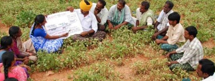 Awareness of farmers on measures to increase productivity! | उत्पादकता वाढीच्या उपाययोजनांवर शेतकऱ्यांचे करणार प्रबोधन!